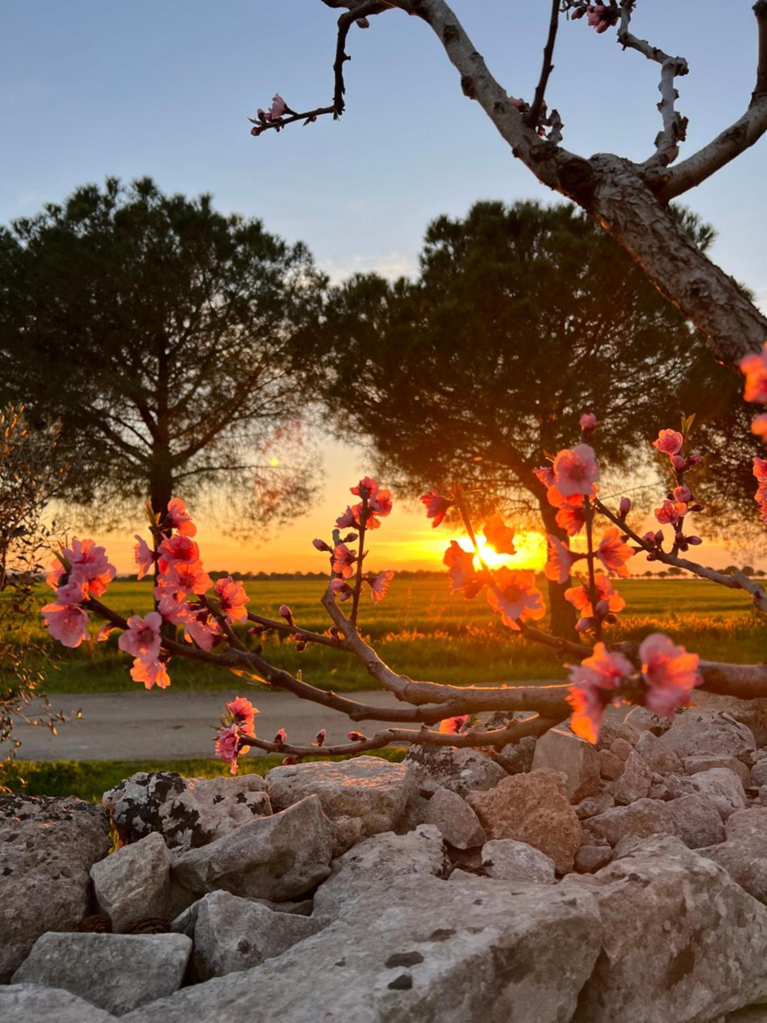 Masseria Casina Montana Corigliano d'Otranto Exterior foto